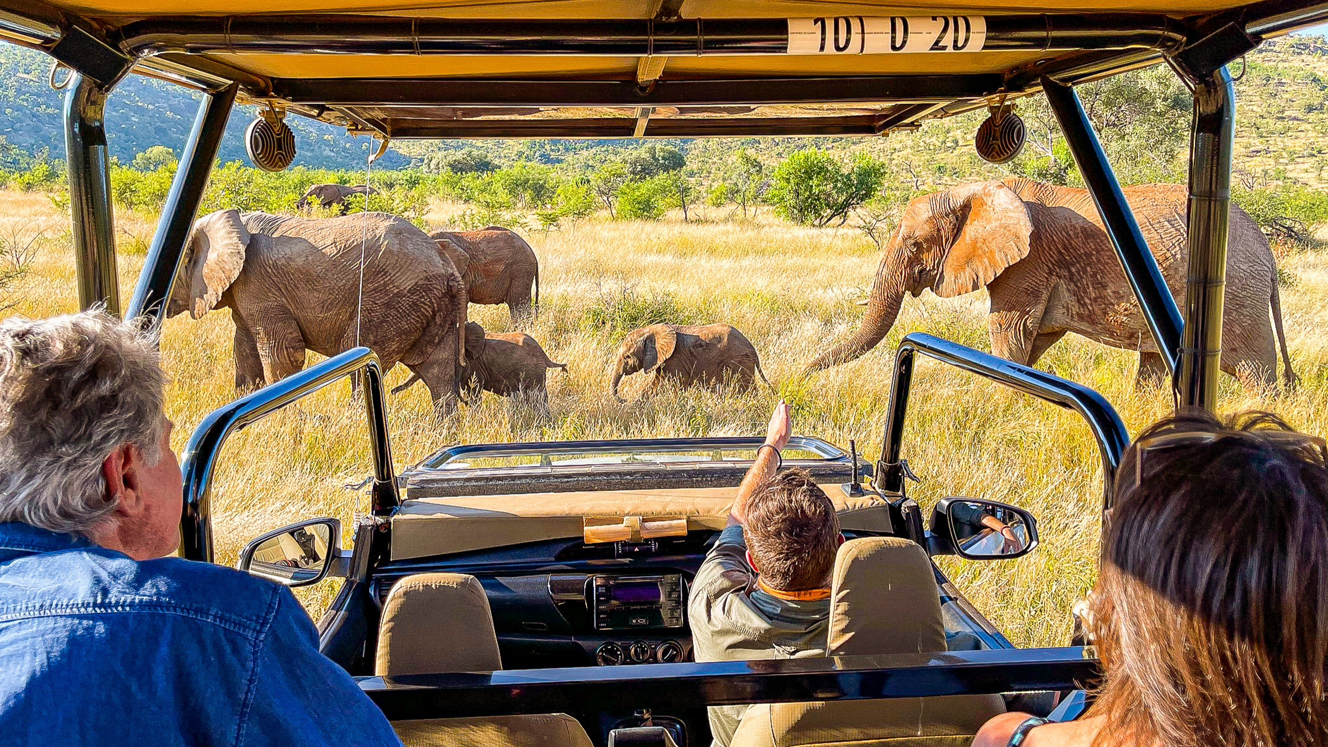 Südafrika Safari