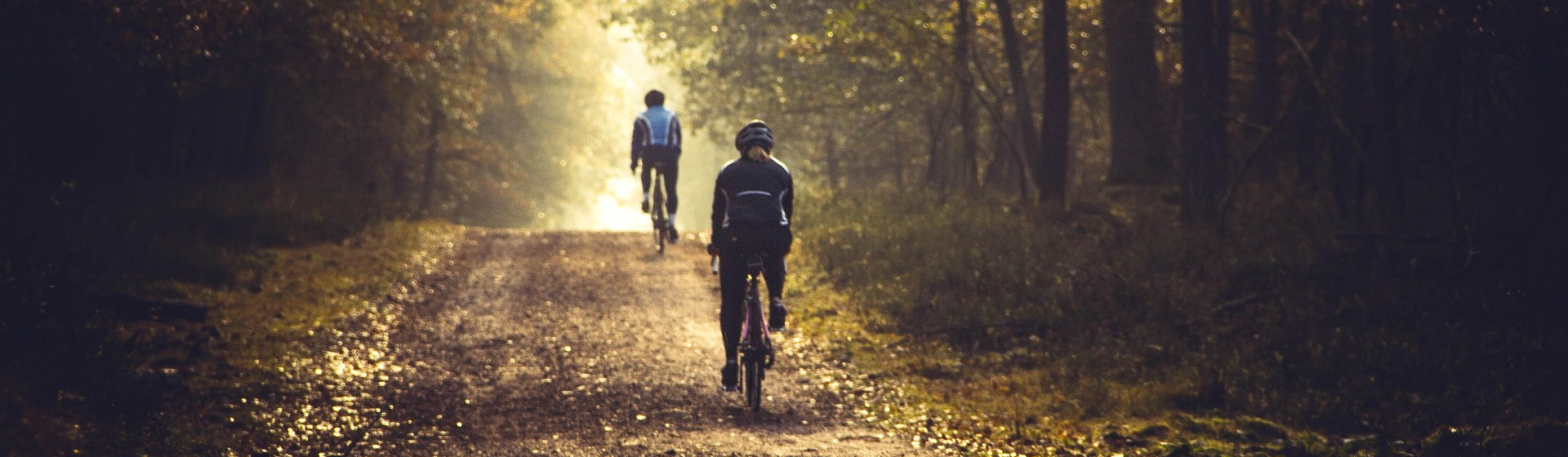 jlfineart-cycling-7564103_1920