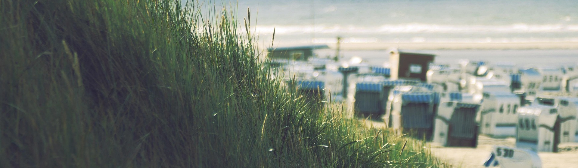 kranich17-beach-7502900_1920