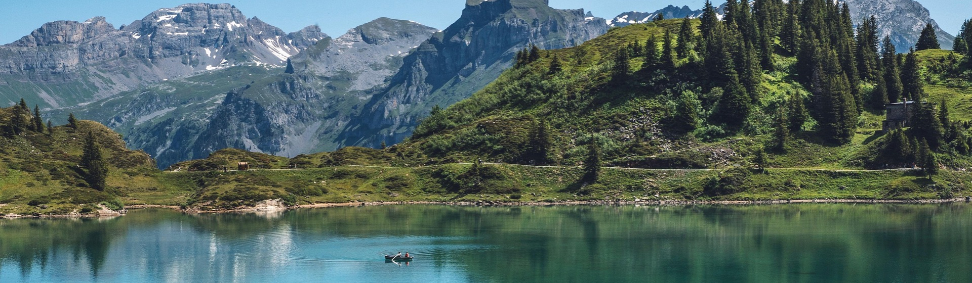 165106-truebsee-5337646_1920